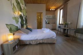GEWURZTRAMINER - Studio au pied du vignoble - rénové récemment - parking gratuit